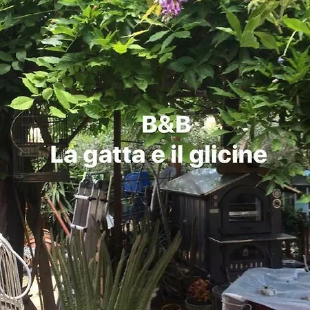 La Gatta E Il Glicine * Ceriale