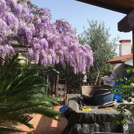 La Gatta E Il Glicine Bed & Breakfast Ceriale