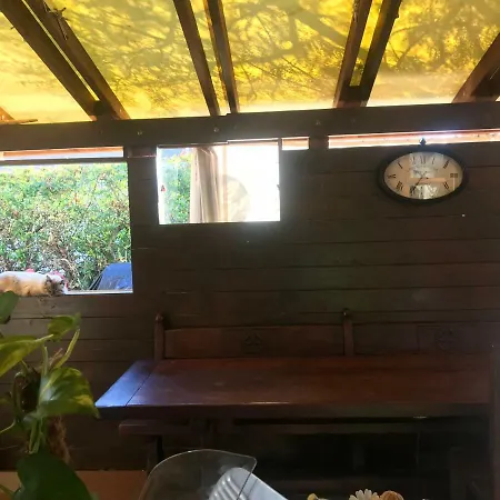 La Gatta E Il Glicine Bed & Breakfast Ceriale