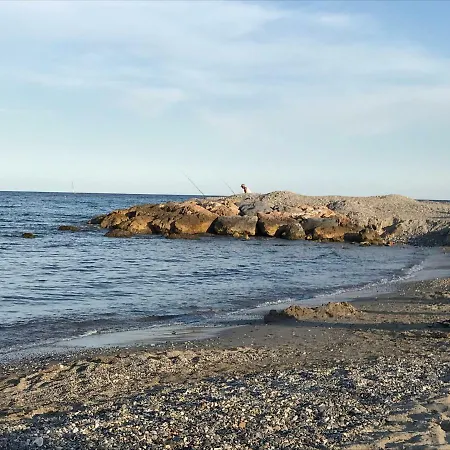 La Gatta E Il Glicine *