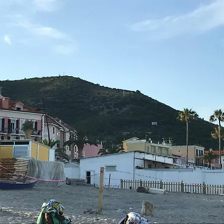 La Gatta E Il Glicine Ceriale