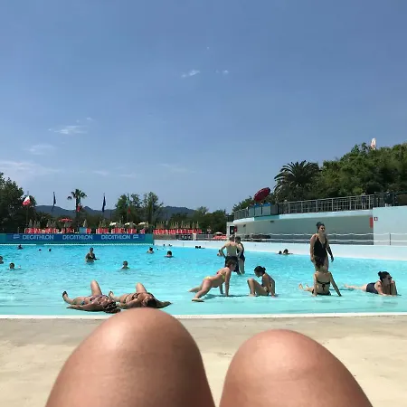 La Gatta E Il Glicine Ceriale